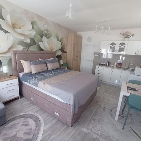 Studio Lotos Belgrad Dış mekan fotoğraf