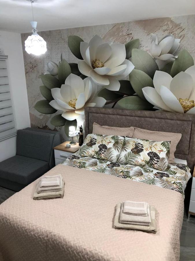 Studio Lotos Belgrad Dış mekan fotoğraf