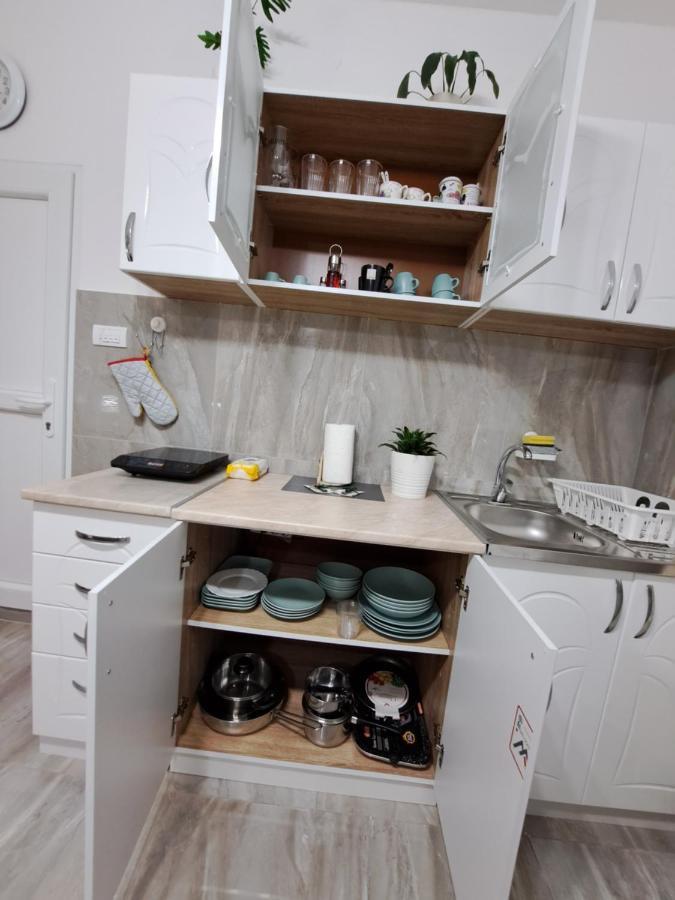 Studio Lotos Belgrad Dış mekan fotoğraf